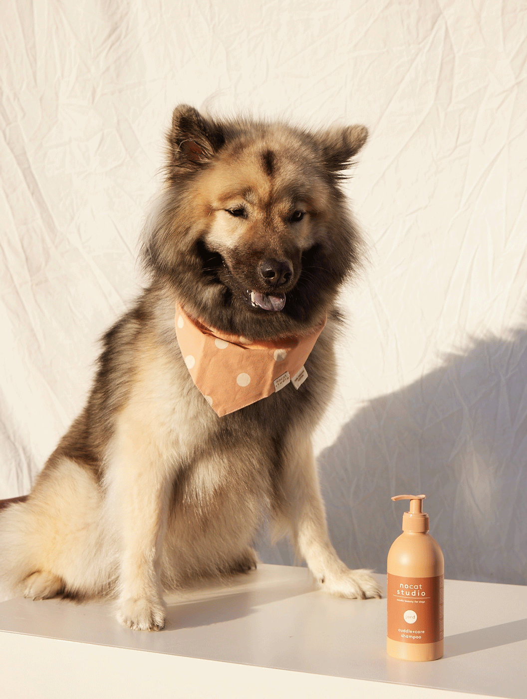 Champú para perros mimo+cuidado JORD