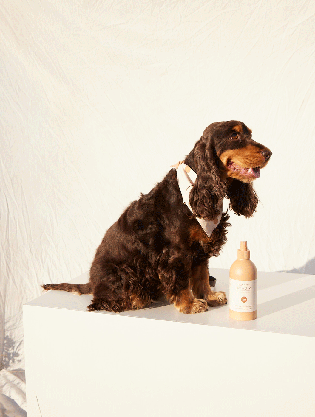 Spray desenredante LUFT refresca+desenreda para perros